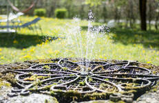 der alte Hausbrunnen