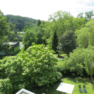 Juniorsuite mit Kurparkblick